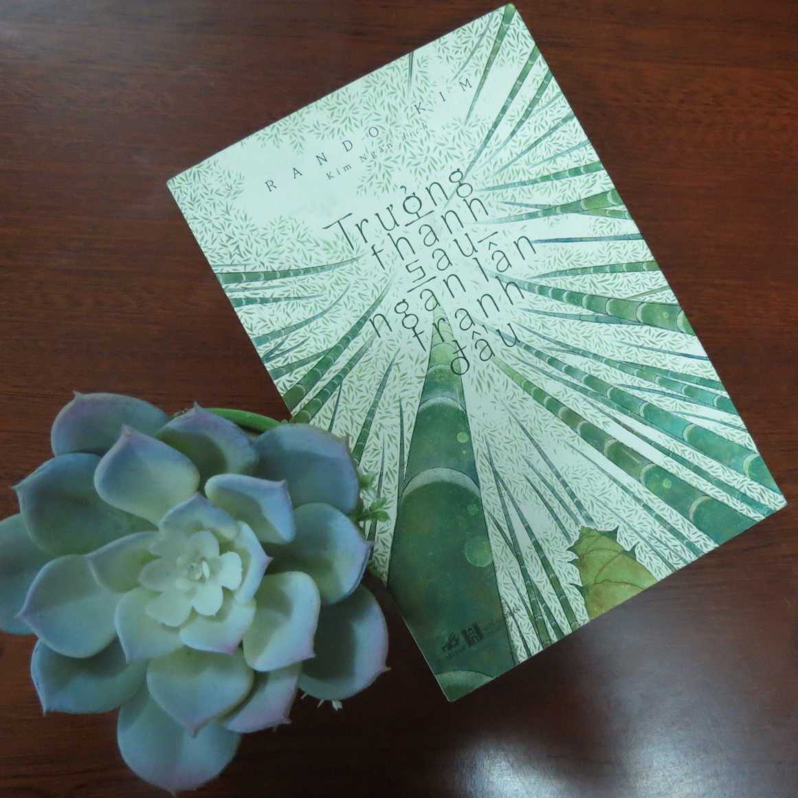 Trưởng thành sau ngàn lần tranh đấu