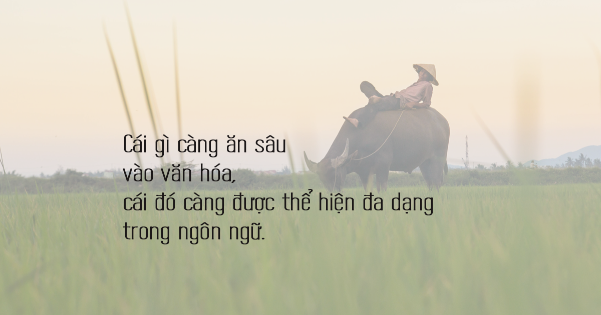 Cây lúa trong ngôn ngữ người Việt - Kỳ 1: Nông cụ