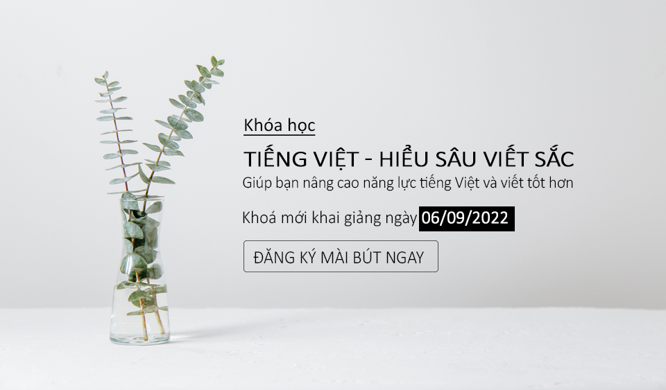 Tiếng Việt - Hiểu sâu viết sắc TV22.4