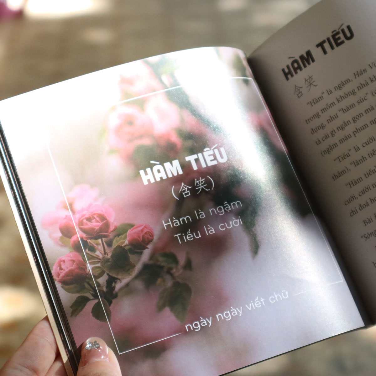 Chữ xưa còn một chút này – Một tựa sách của Ngày ngày viết chữ